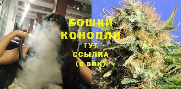 молекула духа Осинники